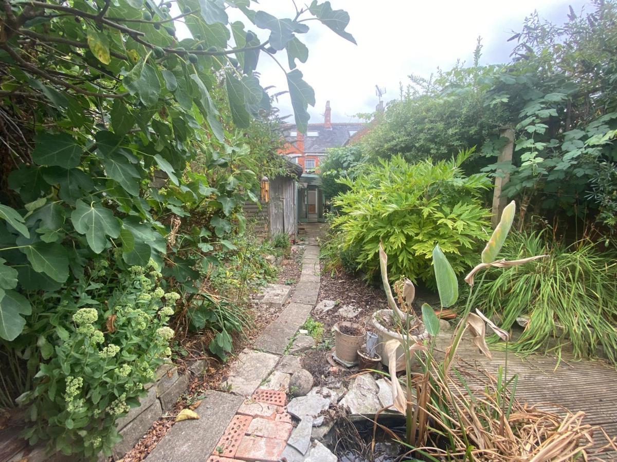 The Dragonfly Bnb, גלסטונברי מראה חיצוני תמונה